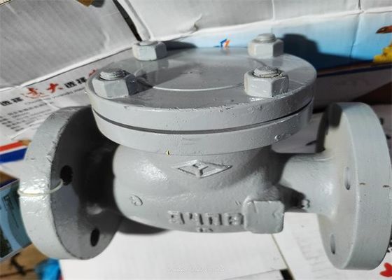 Carbon Steel Material Flange End Swing Check Valve Gray Color