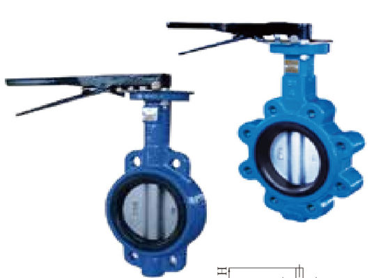 API DIN 2 Inch Wafer Butterfly Valve PN1.0/1.6Mpa Pinless Cast Iron