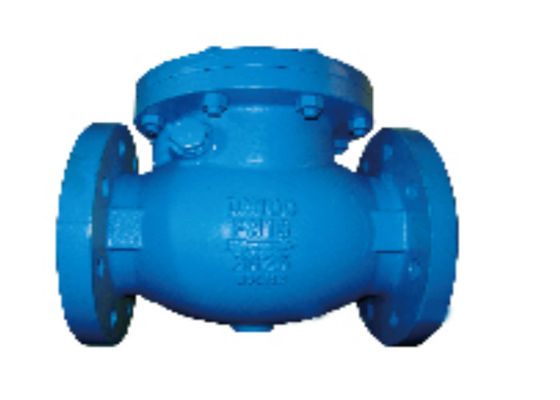 BS 5153 Standard Flanged Swing Check Valve Blue PN16 Cast Iron