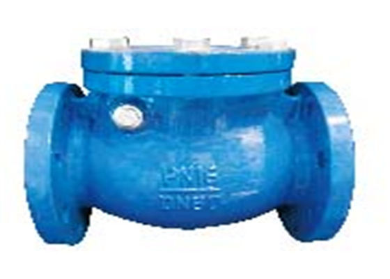 Dn50 Swing Check Valve Flange Type Steel Metal Seat Cast Iron Body