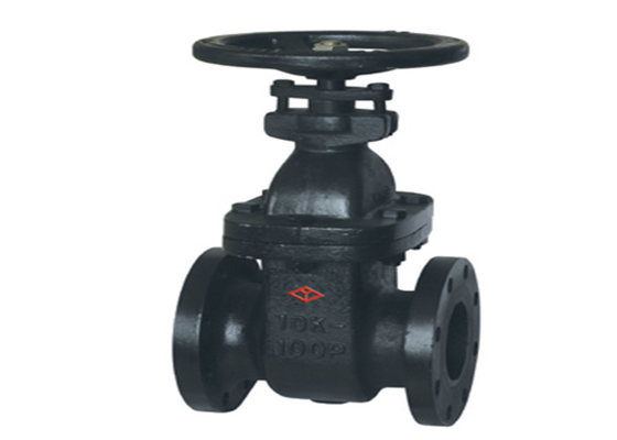 Cast Iron Korean Standard Flanged Gate Valve KS B 2350 Black DN50-DN300