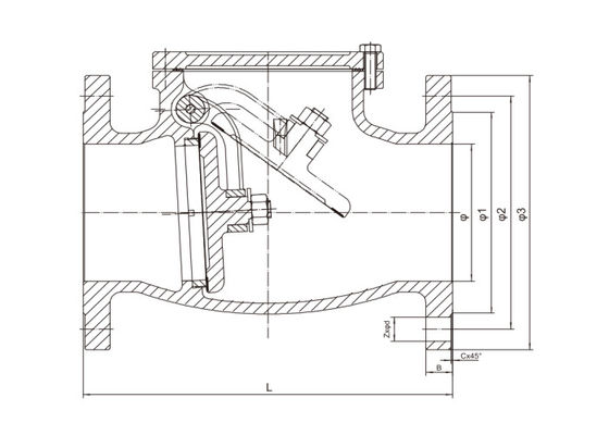 BS 5153 Standard Flanged Swing Check Valve Blue PN16 Cast Iron