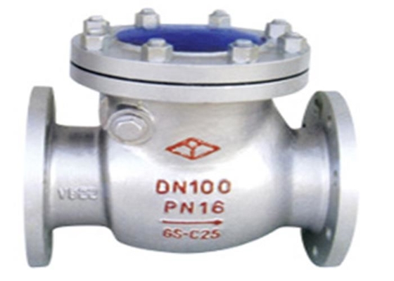 JIS B 2239 Swing Check Valve Cast Iron 10K Pressure Anti Corrosion