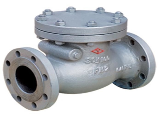 JIS B 2239 Swing Check Valve Cast Iron 10K Pressure Anti Corrosion